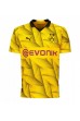 Borussia Dortmund Mats Hummels #15 Fotballdrakt Tredje Klær 2023-24 Korte ermer